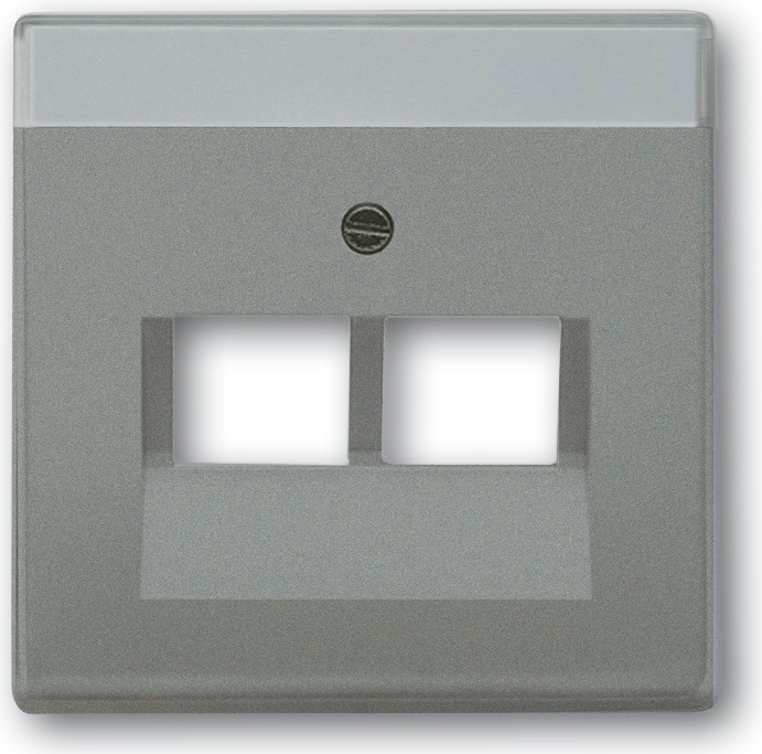 Busch Jaeger 1710-0-3853 Wandplatte/Schalterabdeckung Grau - Metallisch (1710-0-3853)