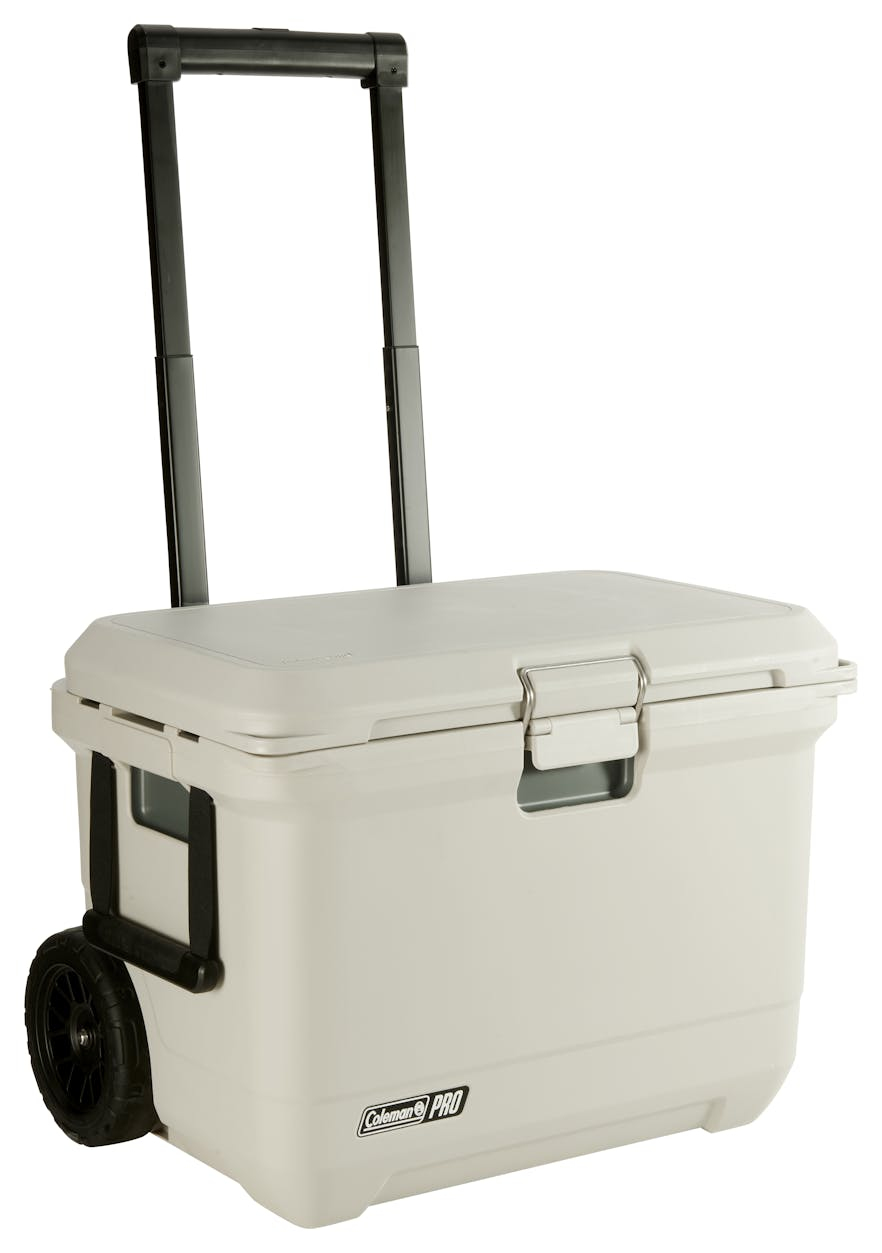 Coleman Pro 55qt Kühlbox 52 l Weiß