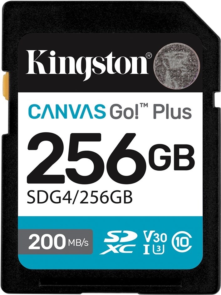 Kingston Canvas Go! Plus (SDG4/256GB)