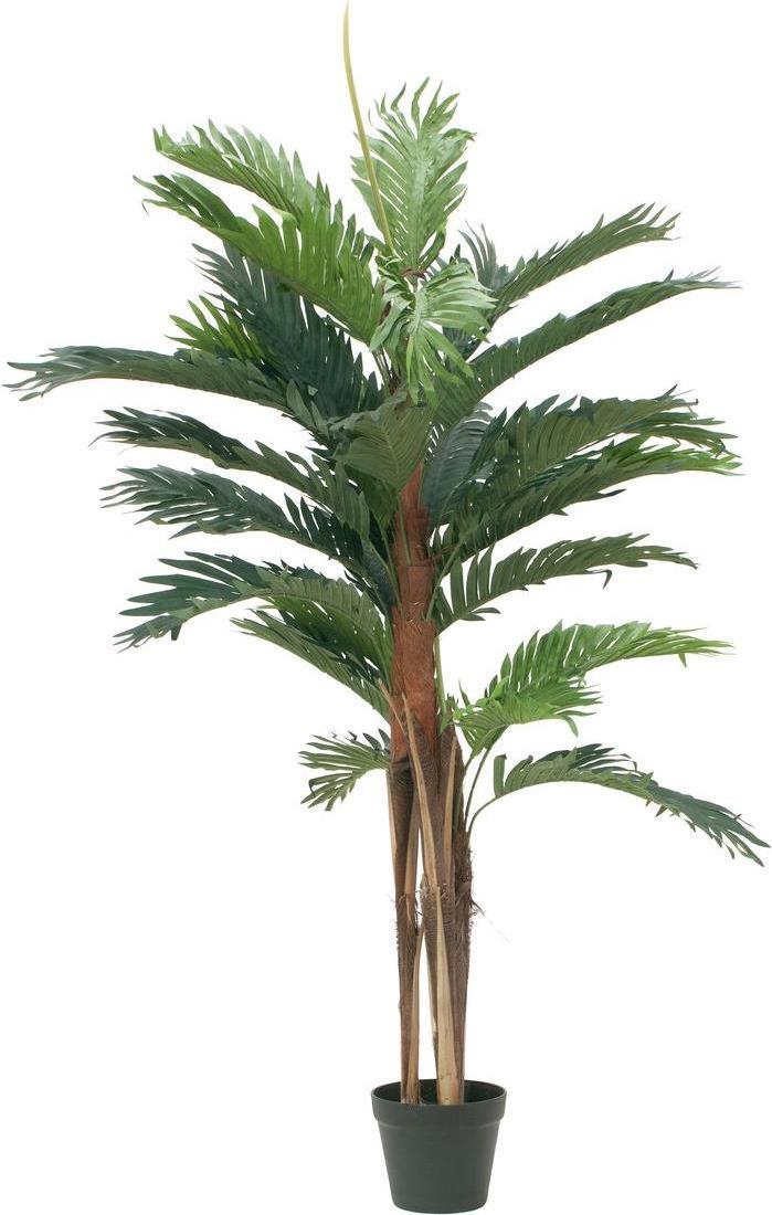 EUROPALMS Kentia Palme, Kunstpflanze, 120cm (82511365) (geöffnet)