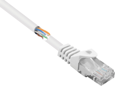 Renkforce RF-5043832 RJ45 Netzwerkkabel, Patchkabel CAT 5e U/UTP 0.50 m Weiß mit Rastnasenschutz 1 St. (RF-5043832)