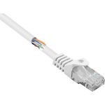 Renkforce RF-5043832 RJ45 Netzwerkkabel, Patchkabel CAT 5e U/UTP 0.50 m Weiß mit Rastnasenschutz 1 St. (RF-5043832)