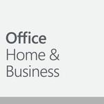 Microsoft Office Home and Business 2024 (EP2-06631)