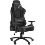X Rocker 2021032 Videospiel-Stuhl Gaming-Sessel Gepolsterter Sitz Schwarz (2021032)