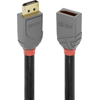 Lindy Anthra Line - DisplayPort-Verlängerungskabel - DisplayPort (M) bis DisplayPort (W) - DisplayPort 1,4 - 2,0m - rund, unterstützt 8K 60 Hz (7680 x 4320) - Schwarz (36497)