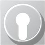 Jung Abdeckung alu für Schlüsselschalt. A 528 PL AL (A528PLAL)