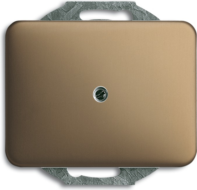 Busch Jaeger 1753-0-1431 Wandplatte/Schalterabdeckung Bronze (1753-0-1431)