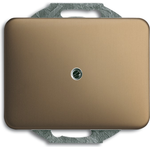 Busch Jaeger 1753-0-1431 Wandplatte/Schalterabdeckung Bronze (1753-0-1431)