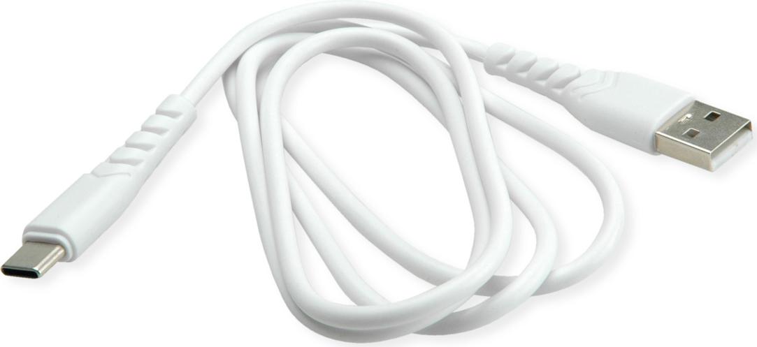 BIOnd USB-A to USB-C 1m white Recycled Plastic (BGG-12-TC)