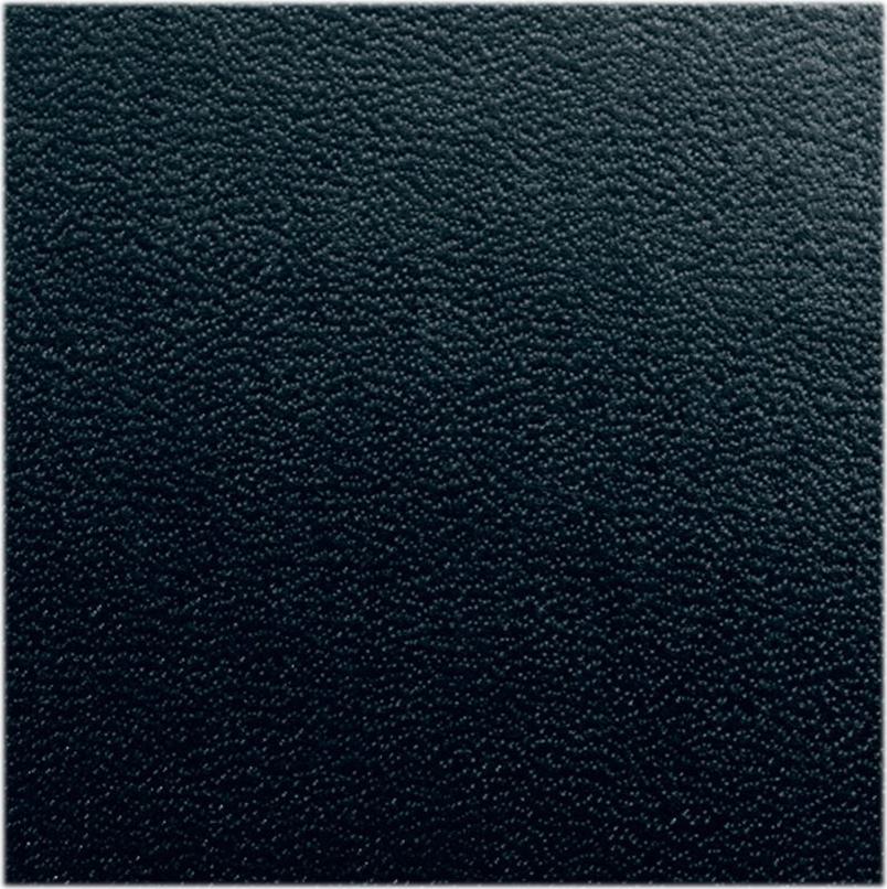GBC Regency Bindemappe A4 325 g/m² Schwarz