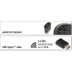 DeLOCK mini Maus rechts- und linkshändig (12526)