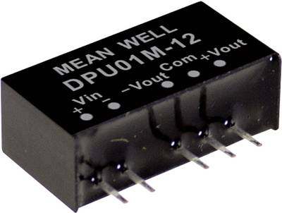 MEAN WELL DPU01M-15 Netzteil & Spannungsumwandler 1 W (DPU01M-15)