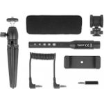 Delock Mikrofon Schwarz (66582)