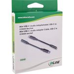 USB-C Audio Adapterkabel zu 3.5mm Buchse (33054D)
