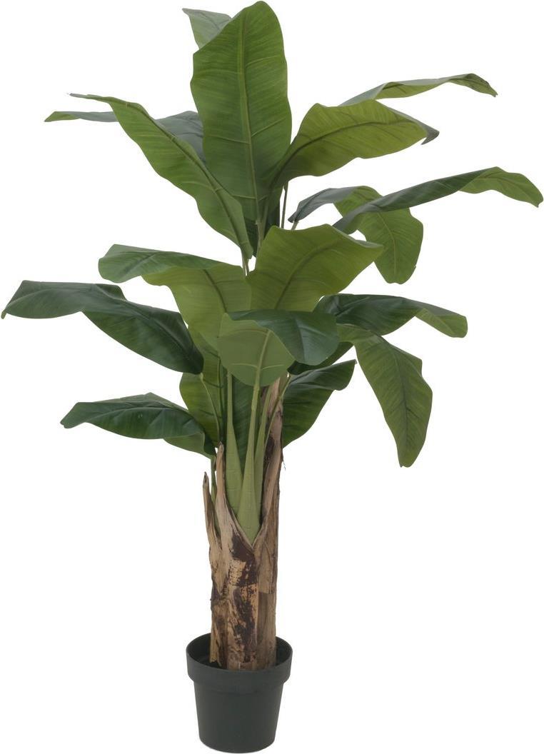 EUROPALMS Bananenbaum, Kunstpflanze, 120cm (82509537)