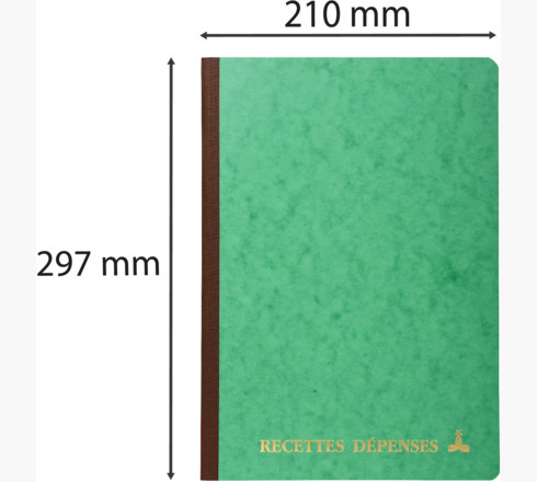 Le Dauphin Buchhaltungsformular Recettes-Dépenses 3931D 297 x 210 mm