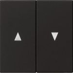 Wippe 2f Pfeilsymbol System 55 Schwarz m 0294005 (0294005)