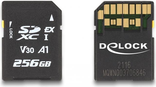 Delock Flash-Speicherkarte (54091)