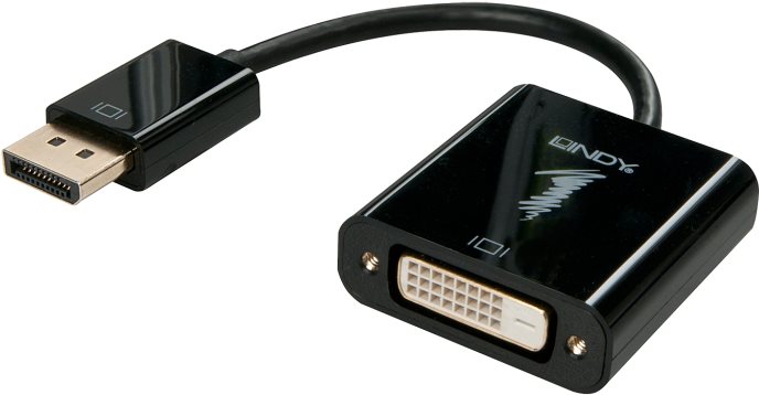 Lindy DisplayPort to DVI-D Adapter (41734)