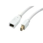 Synergy 21 S216366 Mini DisplayPort (S216366)