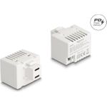 Delock 41479 - Keystone Lademodul 2x USB Type-C PD 20 W weiß (41479)