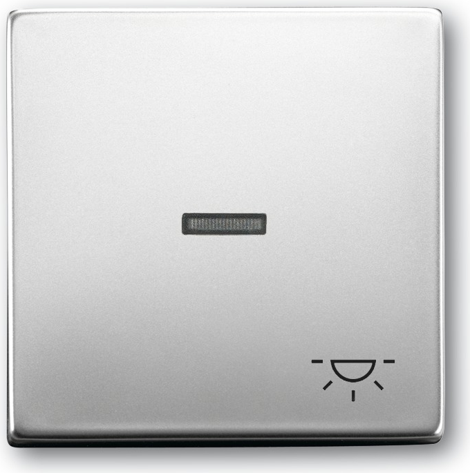 BUSCH-JAEGER Wippe 1789LI-866 1789LI-866 (1751-0-2958)