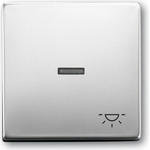 BUSCH-JAEGER Wippe 1789LI-866 1789LI-866 (1751-0-2958)