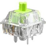 Glorious Raptor Standard Switch, mechanisch, 5-Pin, clicky, MX-Stem, 55g - lubed, 36 Stück (GLO-KB-ACC-SWT-RAPTOR-LUBED-36)