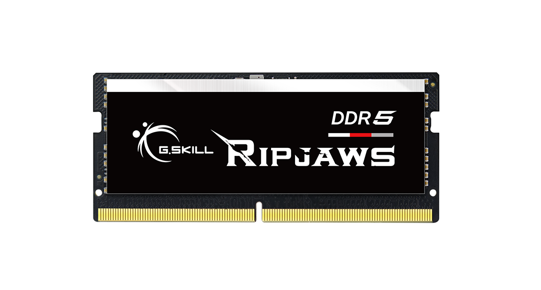 G.Skill Ripjaws DDR5 (F5-4800S4039A32GX2-RS)