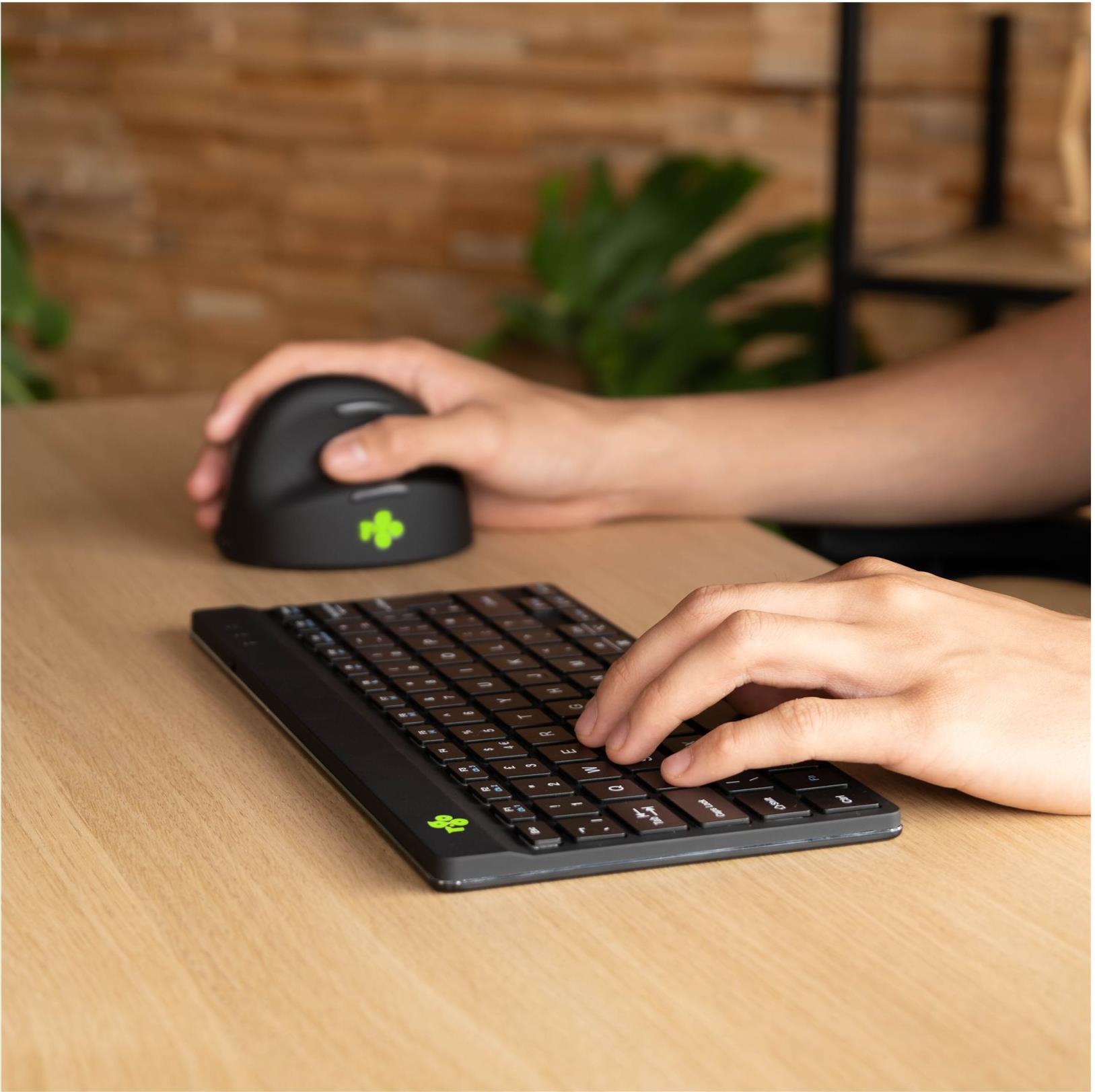 R-Go Ergonomische Tastatur Compact break Bluetooth QWERTY US Englisch Schwarz