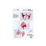 OLYMPIA 25 Taschen für Laminierung (9184)