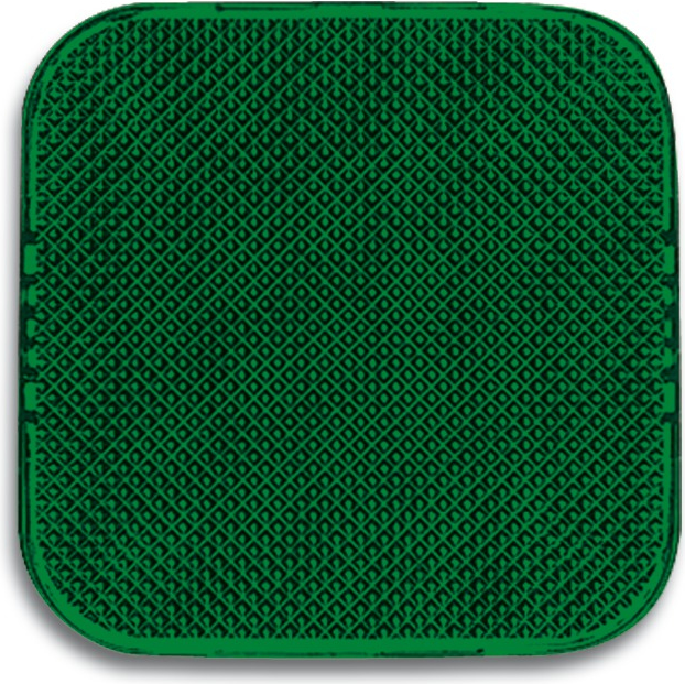 Busch-Jaeger 2526-13 Alarmlichtindikator Grün (2CKA001512A0219)