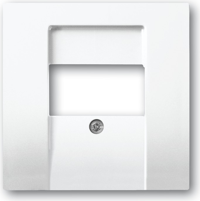 BUSCH-JAEGER Zentralscheibe TAE-Einsatz 1766-84 davos/studioweiss 1766-84 (1710-0-3162)