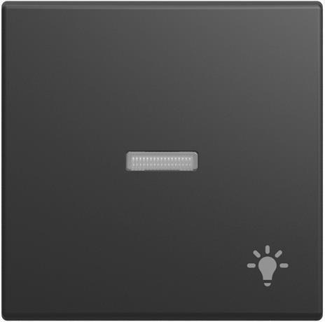 BUSCH JAEGER BJ 1789 LI-915 Wippe mit Aufdruck kleiner transparenter Kalotte (2CKA001731A4034)