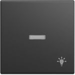 BUSCH JAEGER BJ 1789 LI-915 Wippe mit Aufdruck kleiner transparenter Kalotte (2CKA001731A4034)