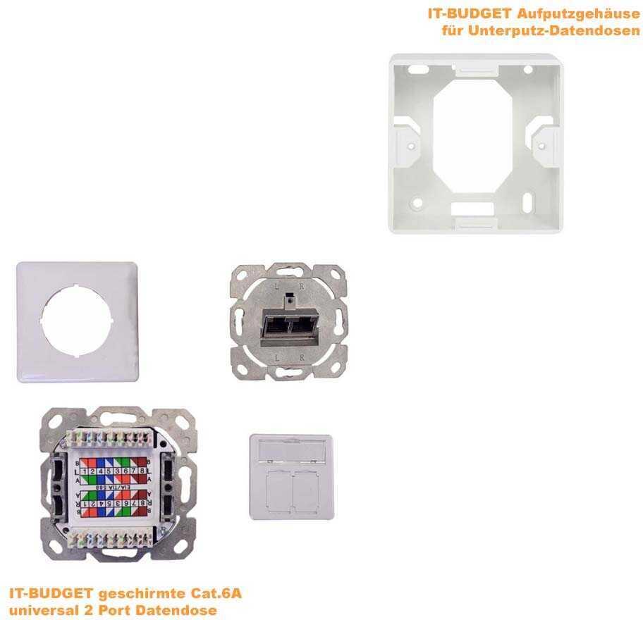 IT-BUDGET geschirmte Cat.6A universal 2 Port Aufputz Datendose (ZAAITBDDLSASW)