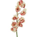 EUROPALMS Cymbidiumzweig, künstlich, creme-pink, 90cm (82530311)