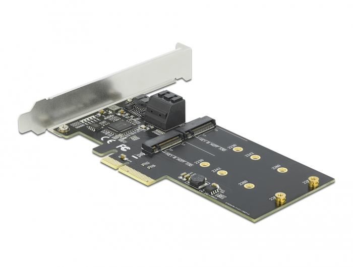 Delock Speicher-Controller 3x SATA + 2x M.2 Key B PCIe 3.0 x4 Low-Profile Schwarz