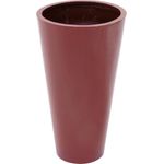 EUROPALMS LEICHTSIN ELEGANCE-69, rot, glänzend (83011858)