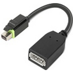 Lenovo DisplayPort-Adapter (4X90Q93975)