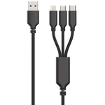 2GO 797258 Ladegerät für Mobilgeräte Schwarz Auto (797258)