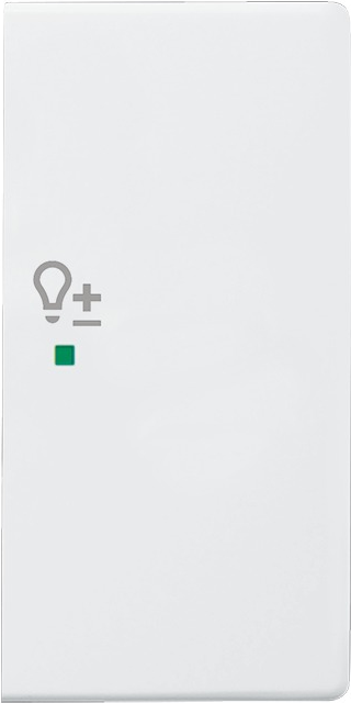 Busch-Jaeger 6220-0-0255 (6220-0-0255)