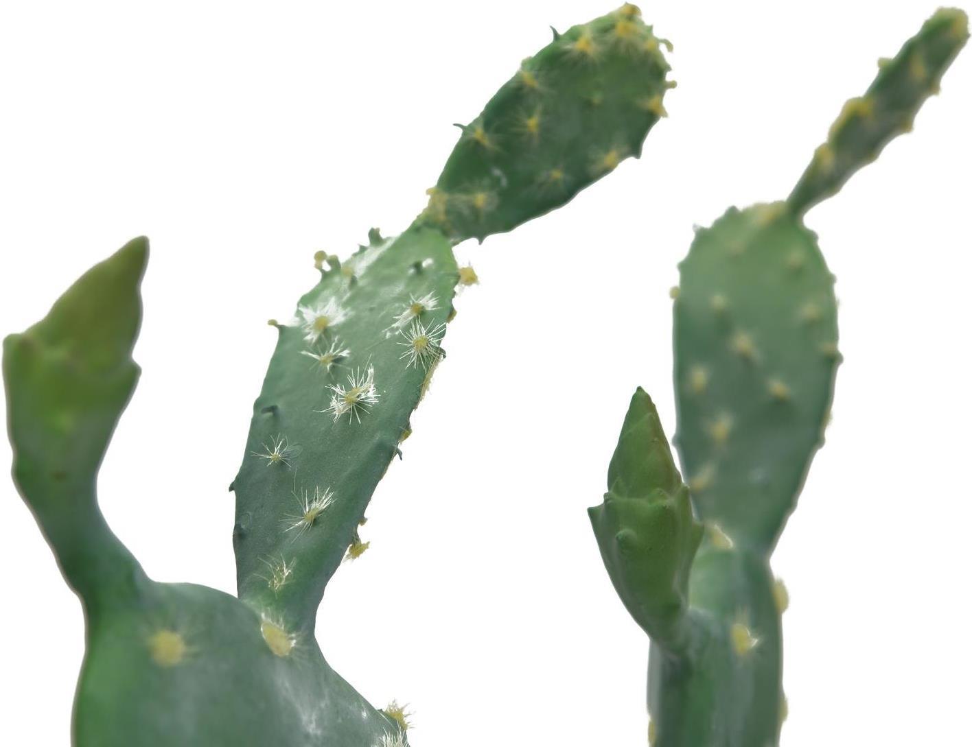 EUROPALMS Blätterkaktus, Kunstpflanze, 76cm (82600064)