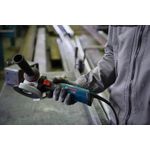 Bosch Professional GWS 17-125 TS (06017D0400)
