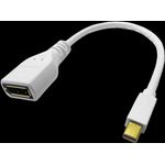 ROLINE DisplayPort-Adapter (12.03.3163)