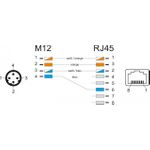 DeLOCK Netzwerkadapter (66313)