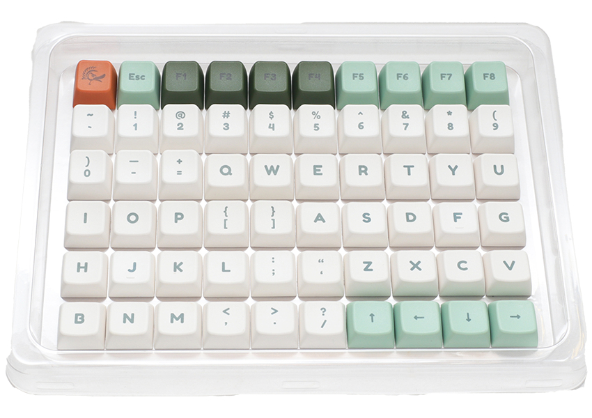 Ducky Dino PBT Dye Sublimation Keycap-Set 133 Tastenkappen US-Layout Koralle Dunkelgrün Mintfarbe Weiß