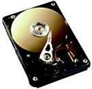 Fujitsu Technology Solutions (S26361-F3106-L80)