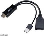 Akasa HDMI zu DisplayPort Adapater Kabel (AK-CBHD24-25BK)