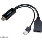 Akasa HDMI zu DisplayPort Adapater Kabel (AK-CBHD24-25BK)
